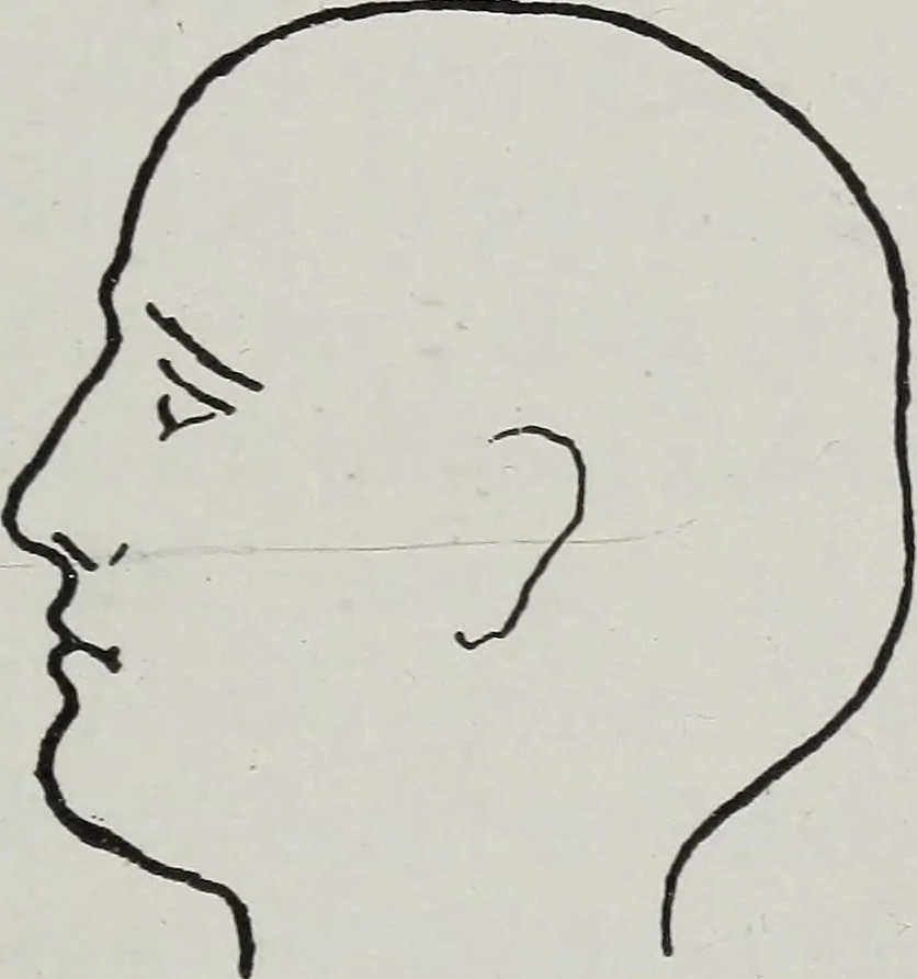 An illustration from Phrenology; how to tell your own and your friend's character from the shape of the head, 1910, leaf 94