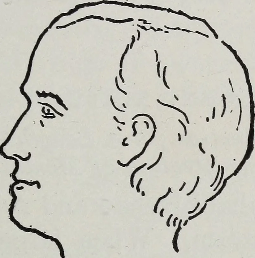An illustration from Phrenology; how to tell your own and your friend's character from the shape of the head, 1910, leaf 96