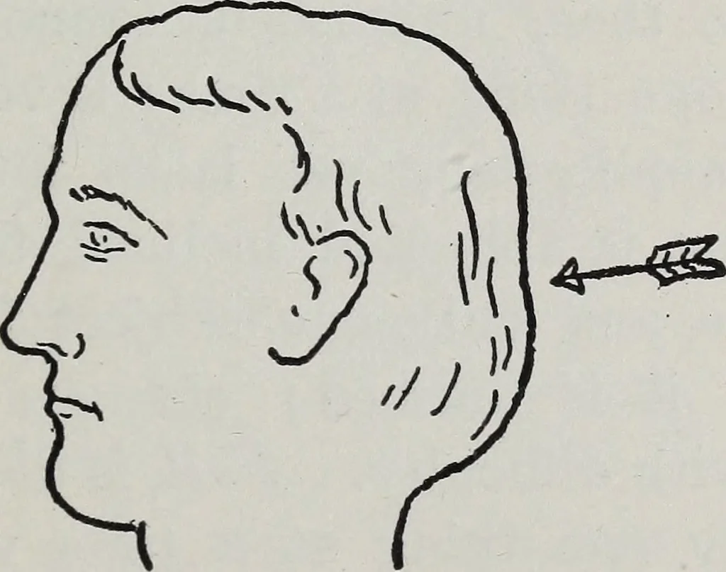An illustration from Phrenology; how to tell your own and your friend's character from the shape of the head, 1910, leaf 96