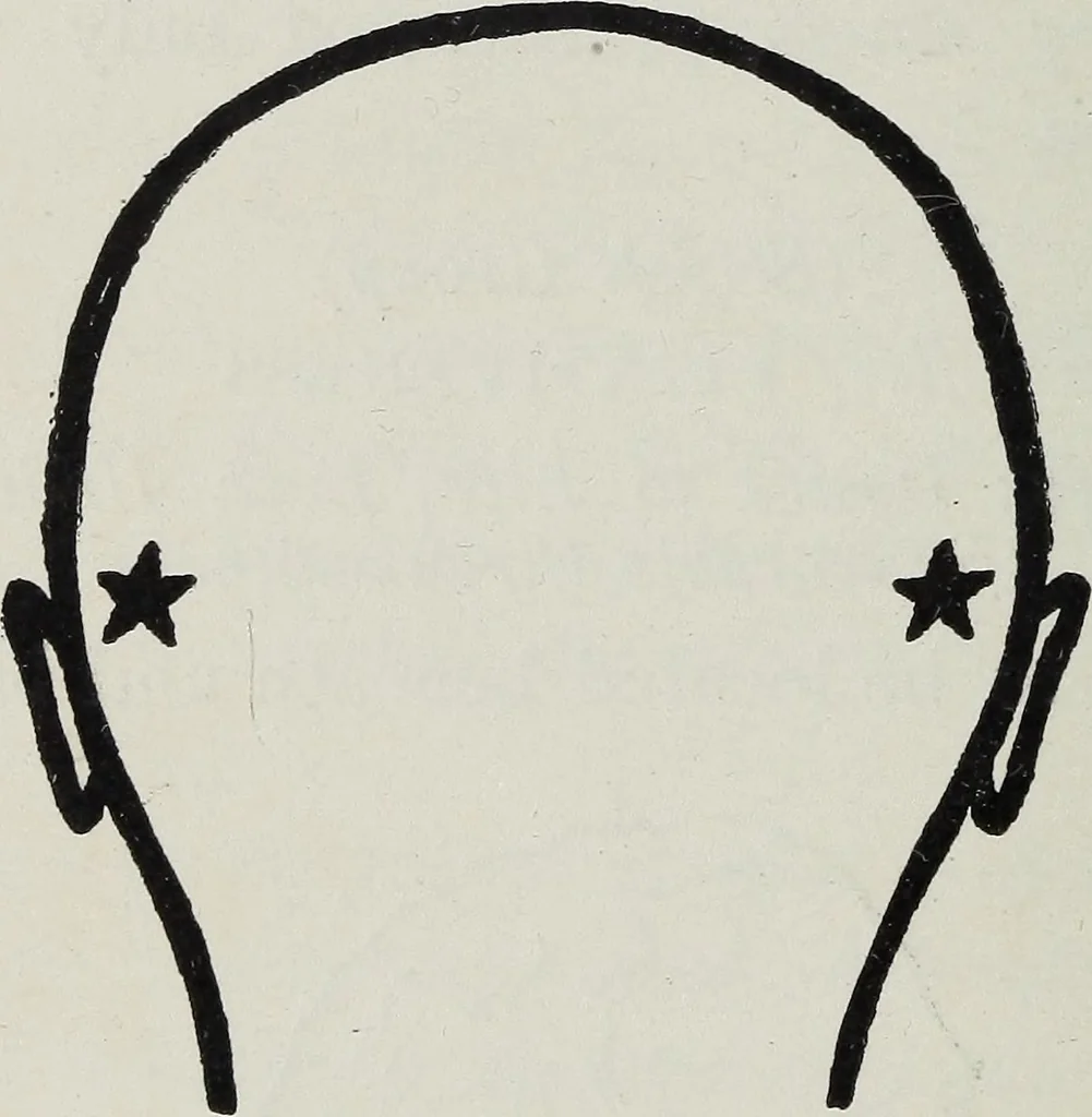 An illustration from Phrenology; how to tell your own and your friend's character from the shape of the head, 1910, leaf 99
