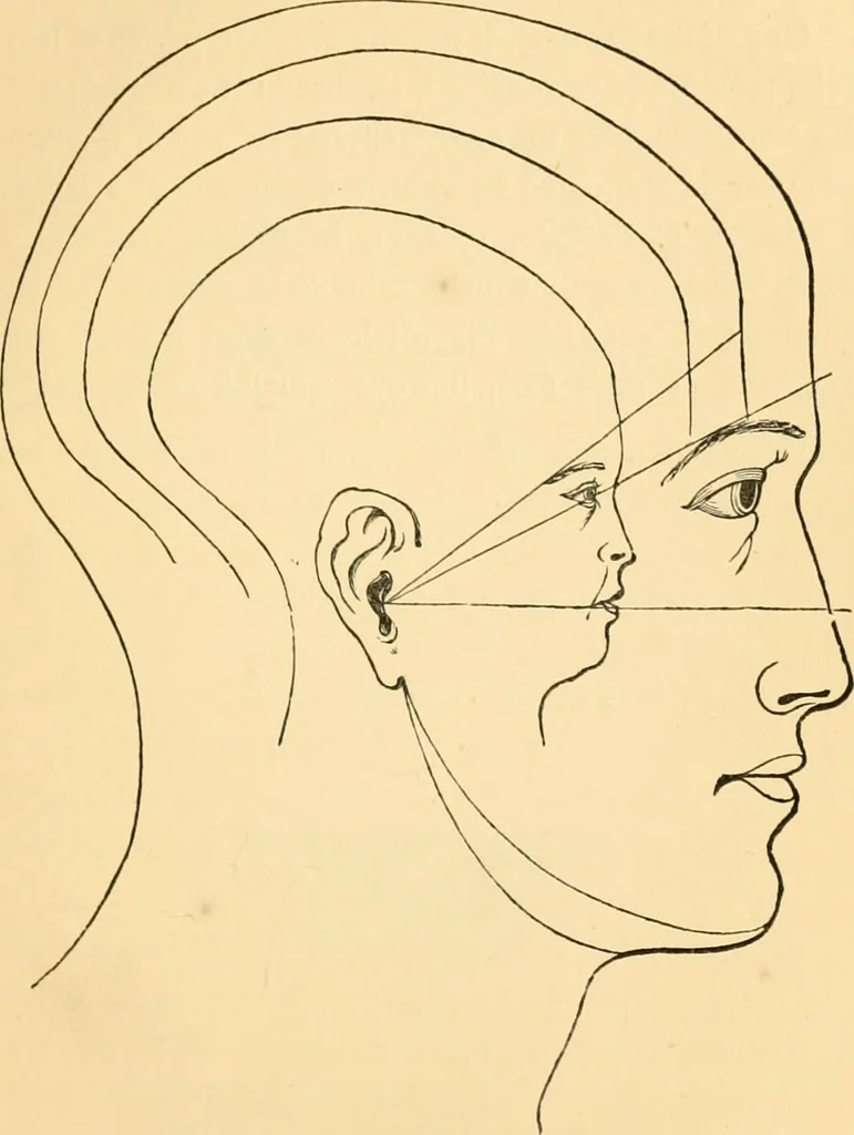 An illustration from Phrenology, and how to use it in analyzing character, 1871, leaf 164