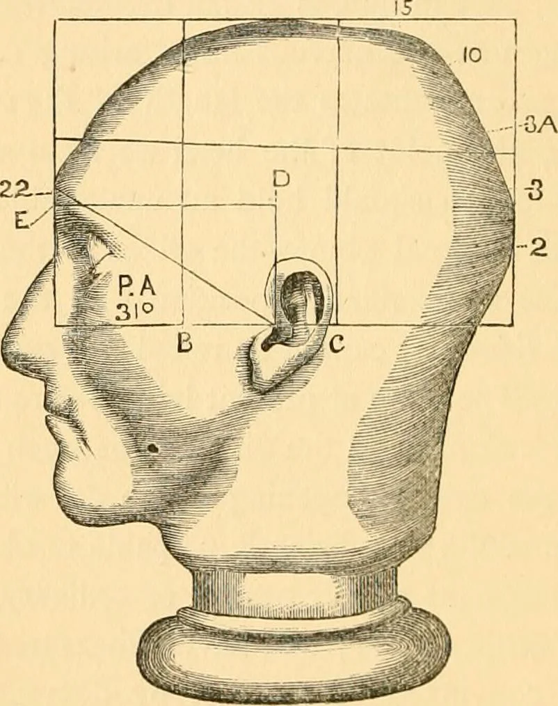 An illustration from Phrenology, and how to use it in analyzing character, 1871, leaf 179