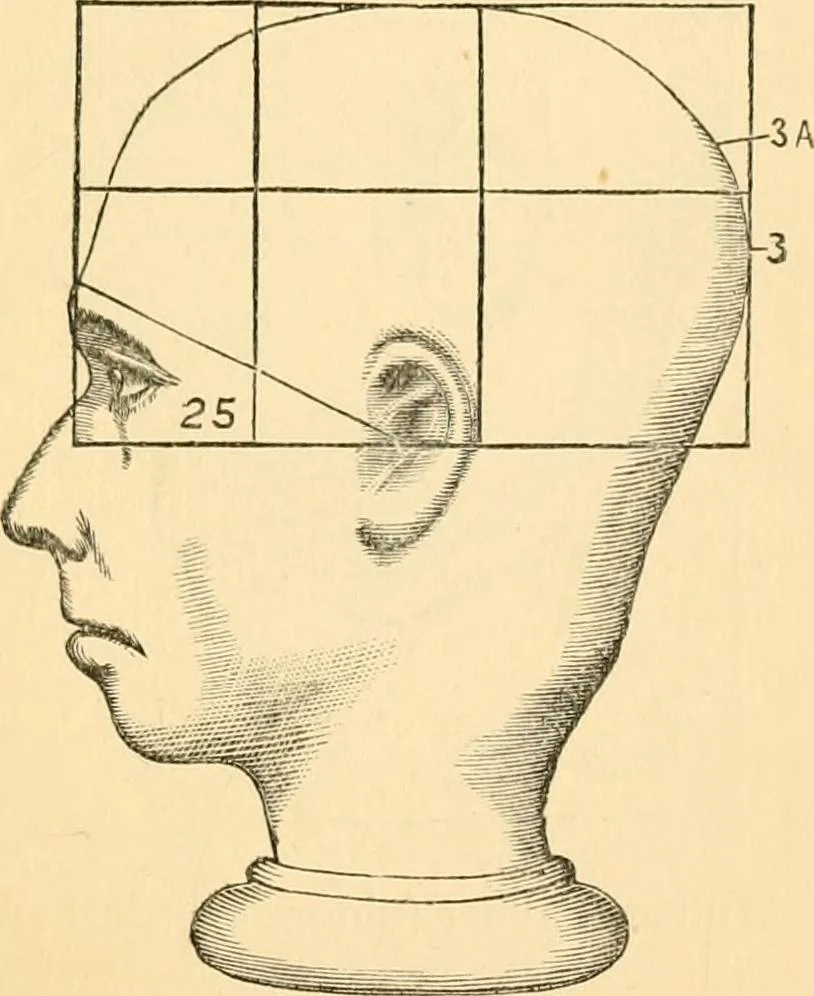 An illustration from Phrenology, and how to use it in analyzing character, 1871, leaf 180