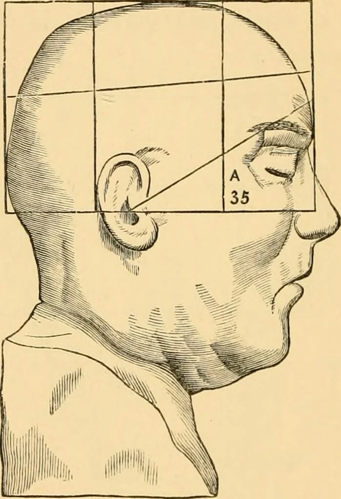 An illustration from Phrenology, and how to use it in analyzing character, 1871, leaf 181