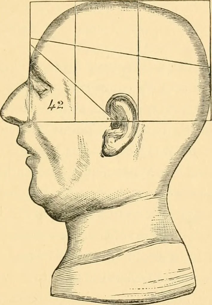 An illustration from Phrenology, and how to use it in analyzing character, 1871, leaf 182