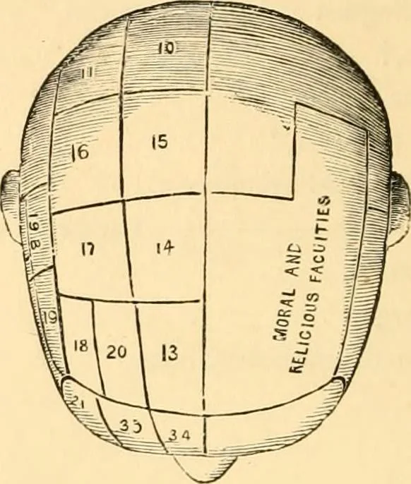An illustration from Phrenology, and how to use it in analyzing character, 1871, leaf 19