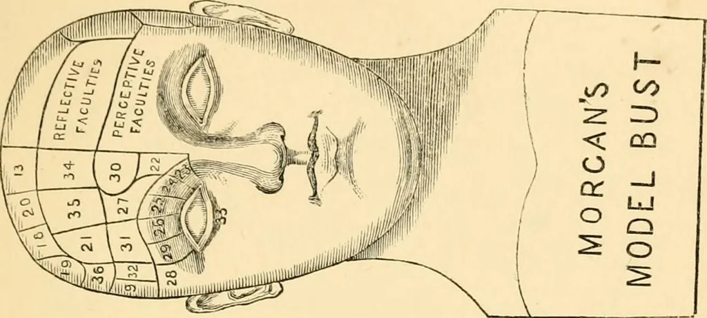 An illustration from Phrenology, and how to use it in analyzing character, 1871, leaf 20