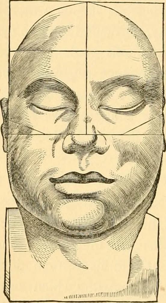 An illustration from Phrenology, and how to use it in analyzing character, 1871, leaf 257