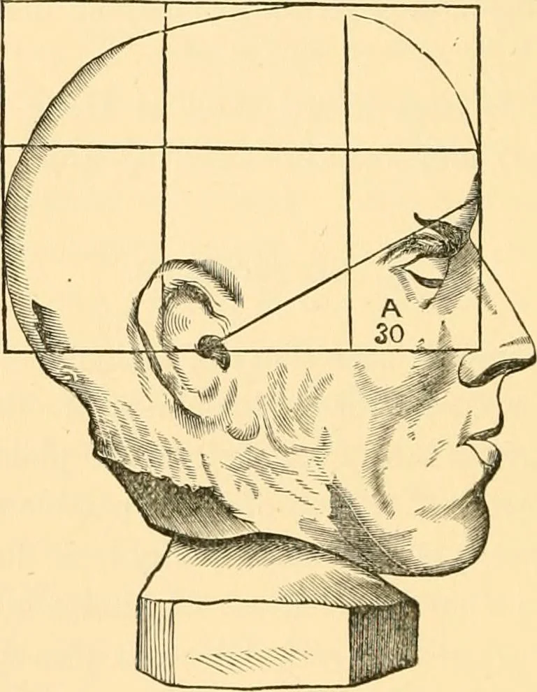 An illustration from Phrenology, and how to use it in analyzing character, 1871, leaf 289