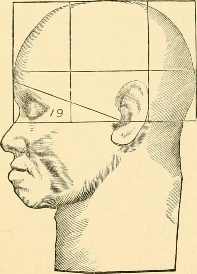An illustration from Phrenology, and how to use it in analyzing character, 1871, leaf 290