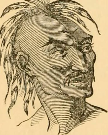 An illustration from Phrenology, and how to use it in analyzing character, 1871, leaf 31