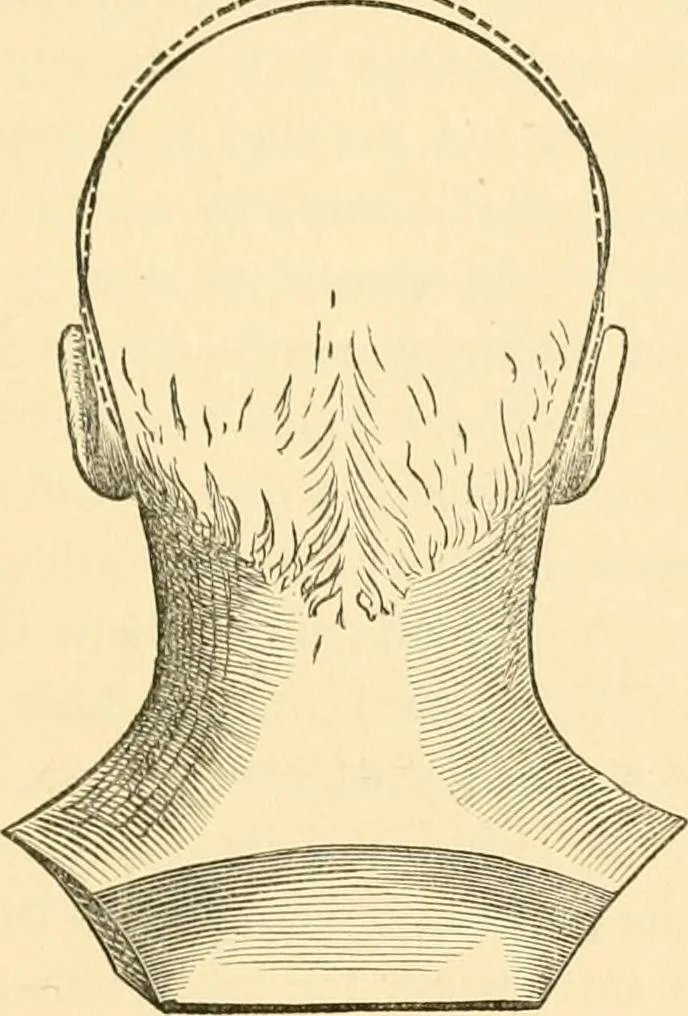 An illustration from Phrenology, and how to use it in analyzing character, 1871, leaf 314