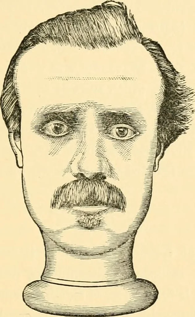 An illustration from Phrenology, and how to use it in analyzing character, 1871, leaf 368