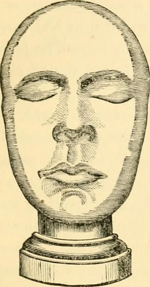 An illustration from Phrenology, and how to use it in analyzing character, 1871, leaf 408
