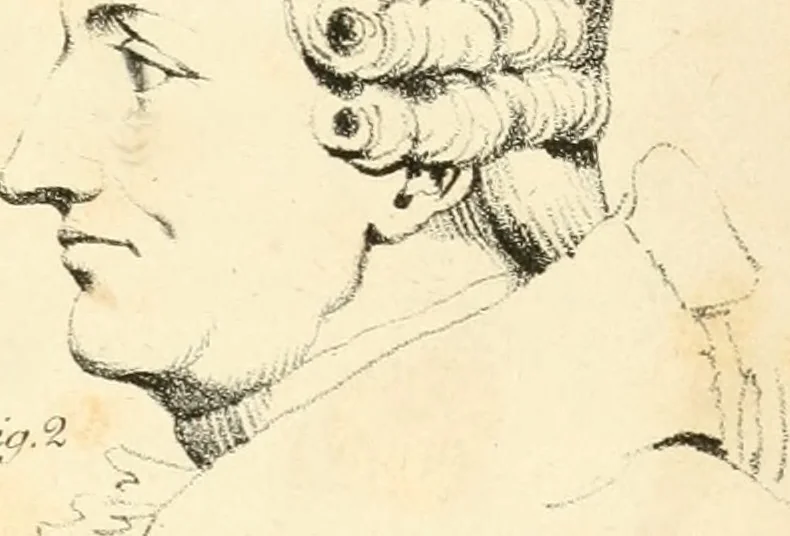 An illustration from Phrenology, in connection with the study of physiognomy, 1833, leaf 192