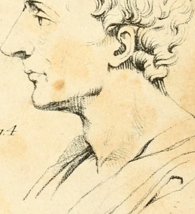 An illustration from Phrenology, in connection with the study of physiognomy, 1833, leaf 192