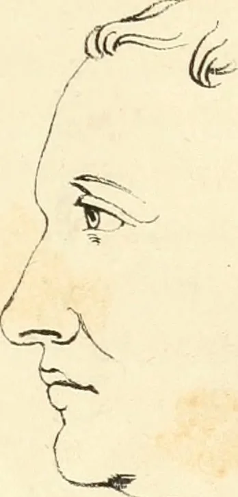 An illustration from Phrenology, in connection with the study of physiognomy, 1833, leaf 196