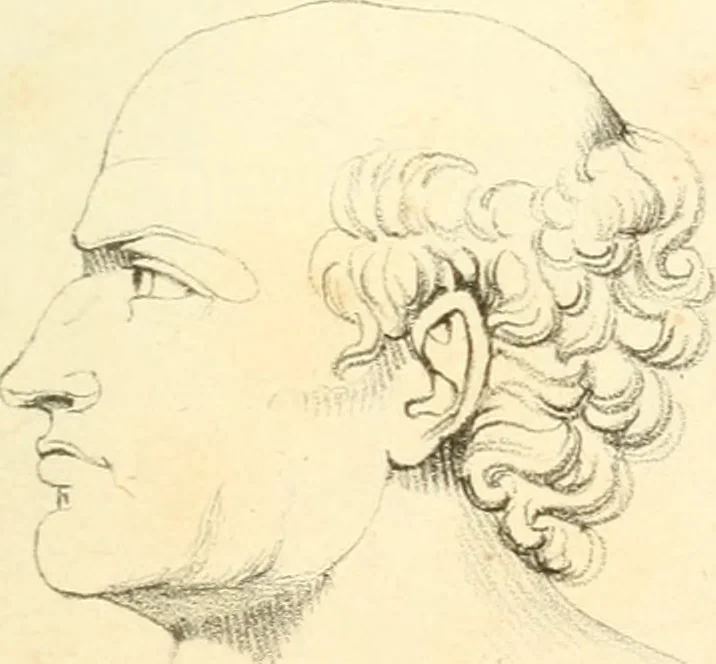 An illustration from Phrenology, in connection with the study of physiognomy, 1833, leaf 208