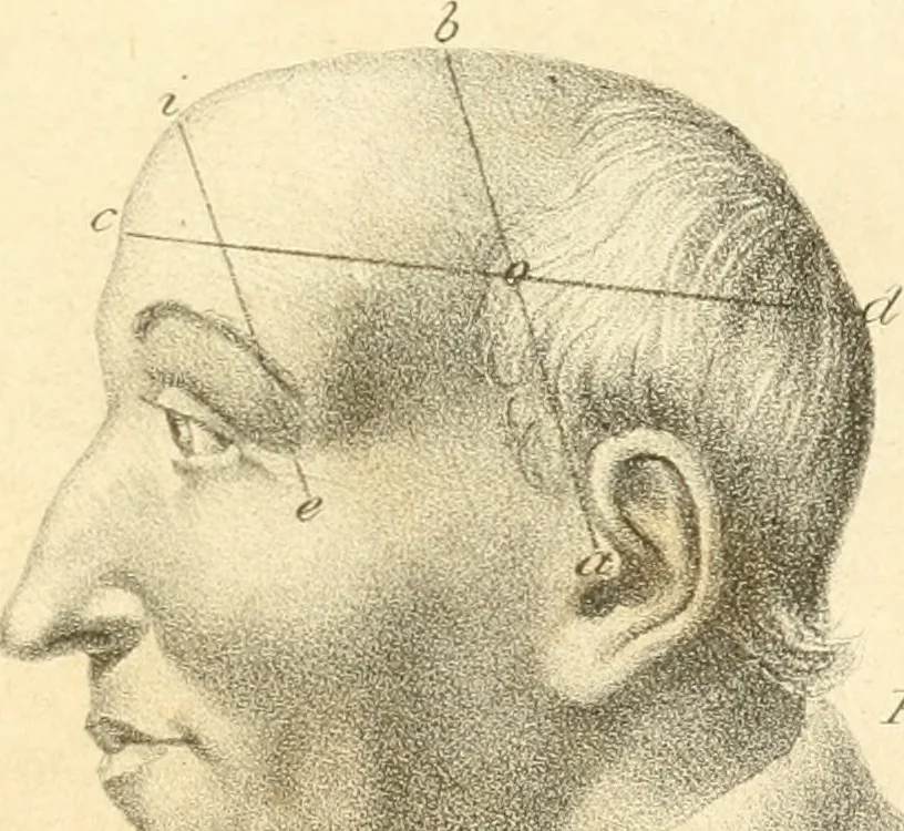 An illustration from Phrenology, in connection with the study of physiognomy, 1833, leaf 216