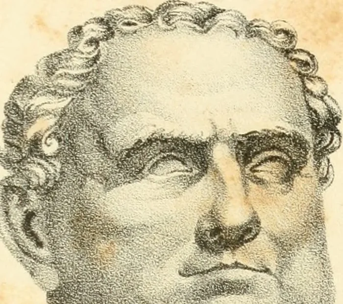 An illustration from Phrenology, in connection with the study of physiognomy, 1833, leaf 220