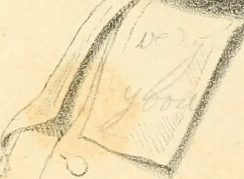An illustration from Phrenology, in connection with the study of physiognomy, 1833, leaf 230