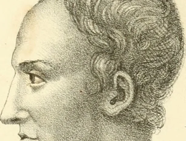 An illustration from Phrenology, in connection with the study of physiognomy, 1833, leaf 232