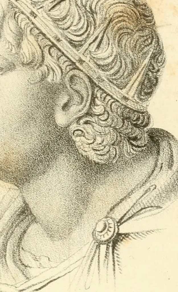 An illustration from Phrenology, in connection with the study of physiognomy, 1833, leaf 260