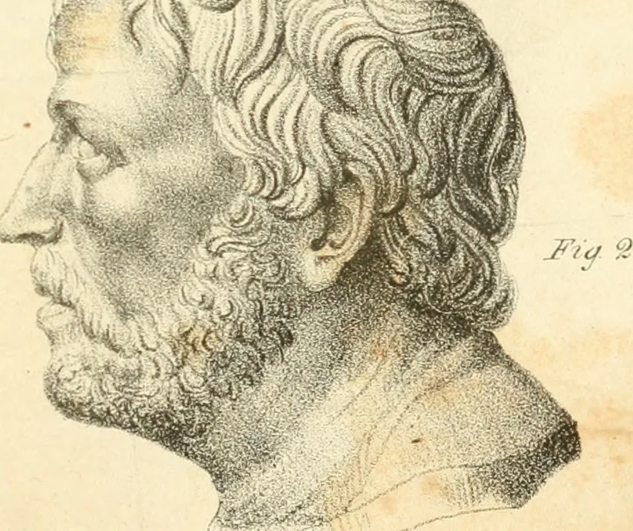 An illustration from Phrenology, in connection with the study of physiognomy, 1833, leaf 260
