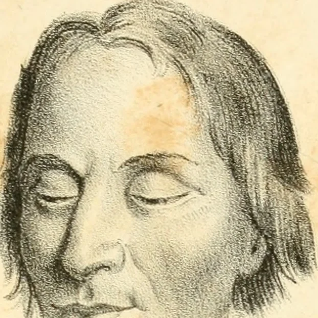 An illustration from Phrenology, in connection with the study of physiognomy, 1833, leaf 308