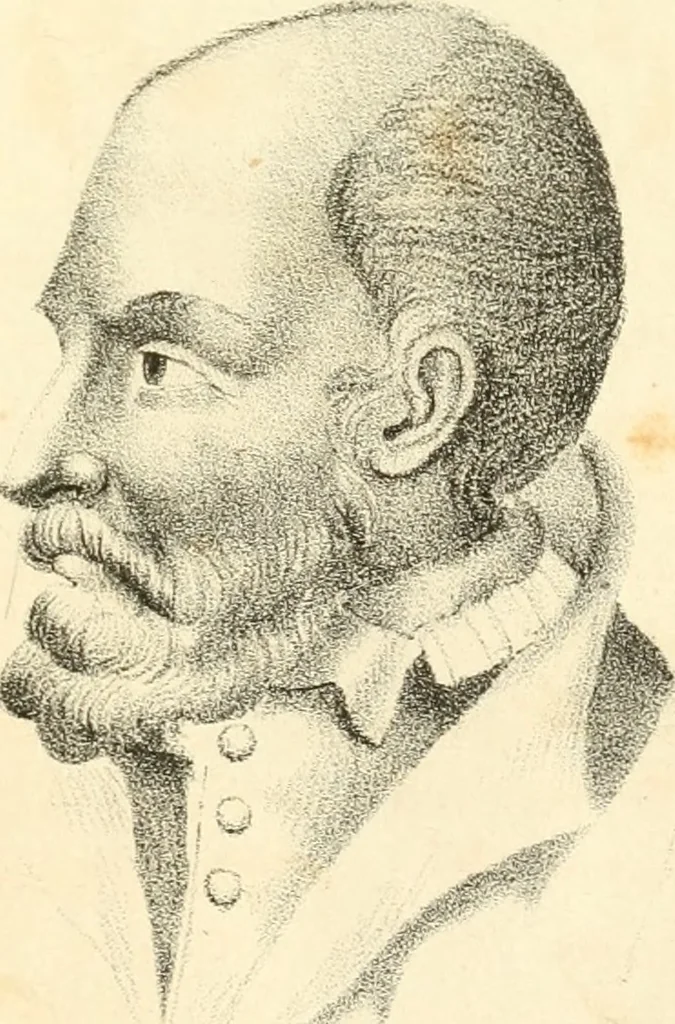 An illustration from Phrenology, in connection with the study of physiognomy, 1833, leaf 336