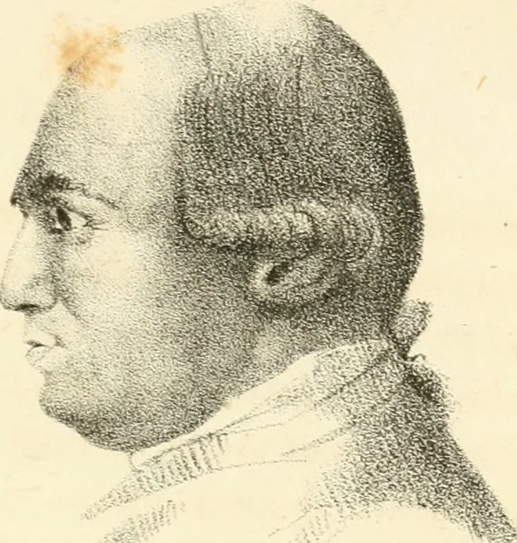 An illustration from Phrenology, in connection with the study of physiognomy, 1833, leaf 348