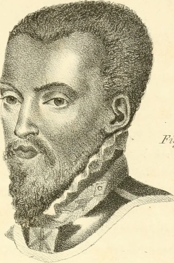 An illustration from Phrenology, in connection with the study of physiognomy, 1833, leaf 356