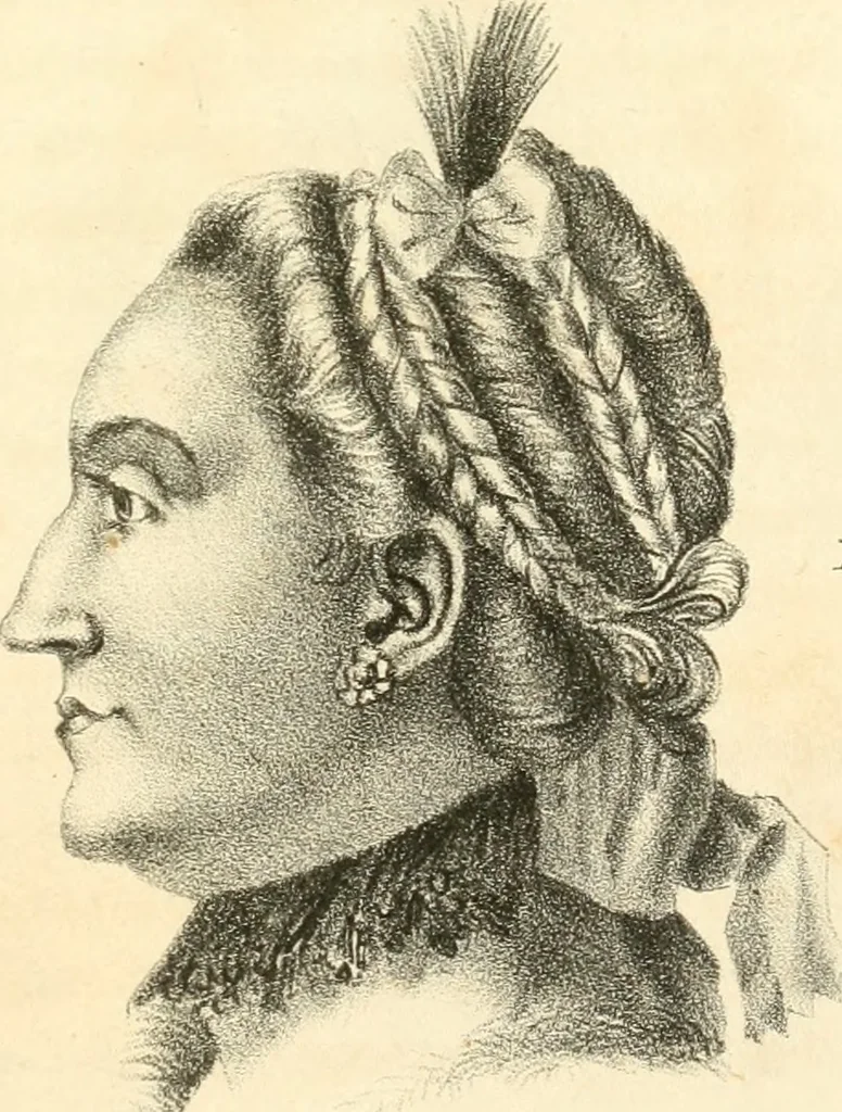 An illustration from Phrenology, in connection with the study of physiognomy, 1833, leaf 356
