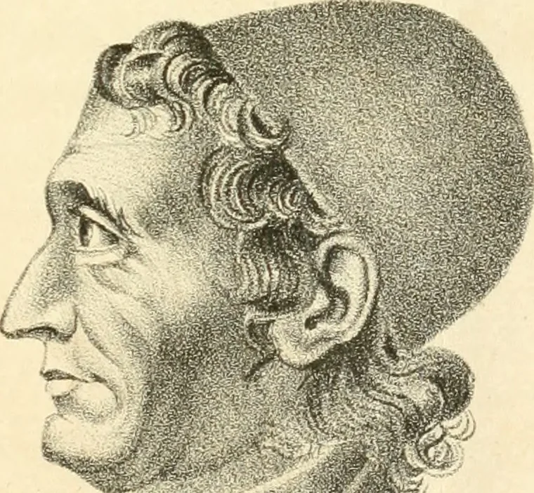 An illustration from Phrenology, in connection with the study of physiognomy, 1833, leaf 364