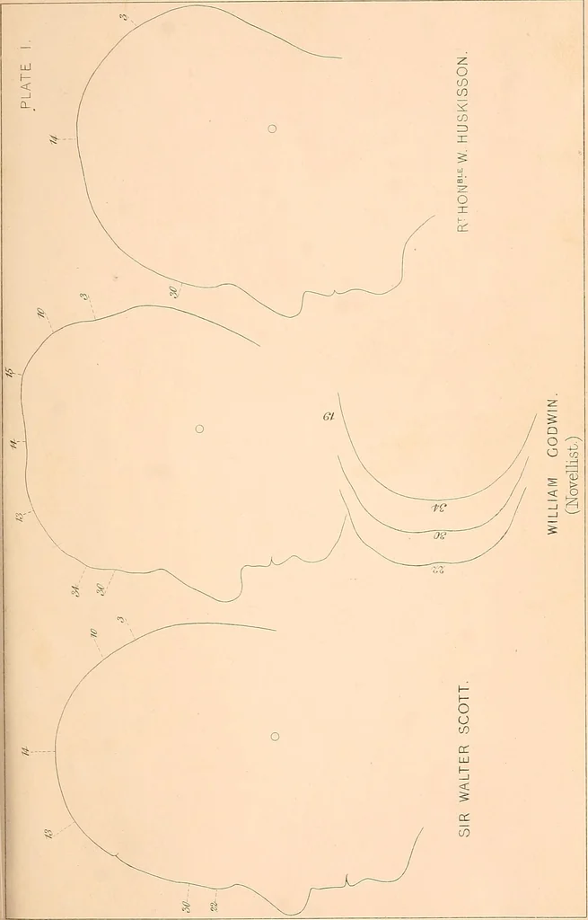 An illustration from Phrenology : and its application to education, insanity, and prison discipline, 1869, leaf 628