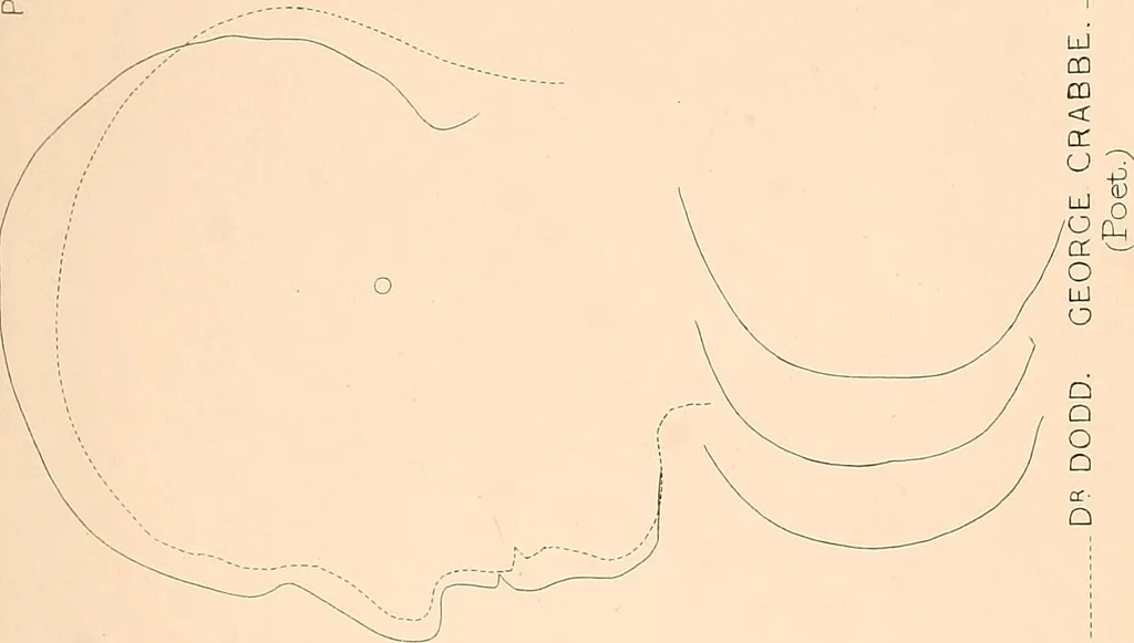An illustration from Phrenology : and its application to education, insanity, and prison discipline, 1869, leaf 630