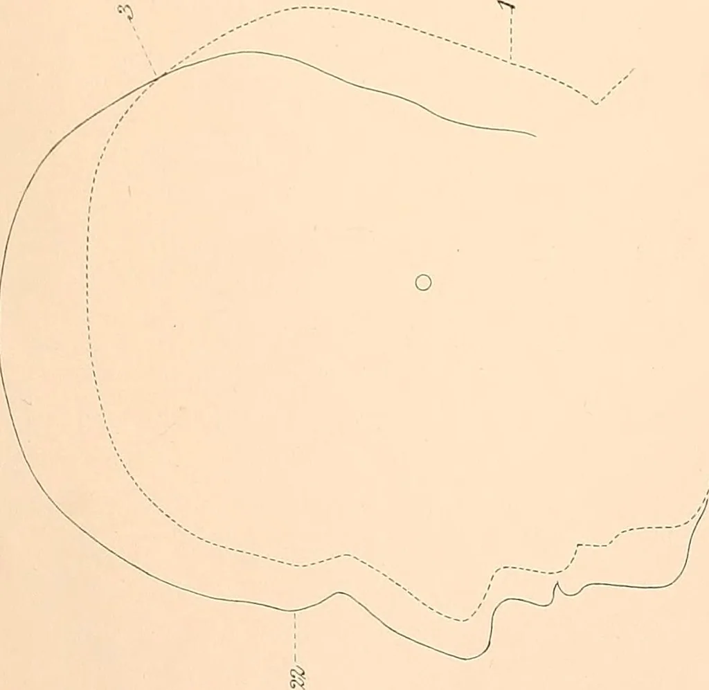 An illustration from Phrenology : and its application to education, insanity, and prison discipline, 1869, leaf 630