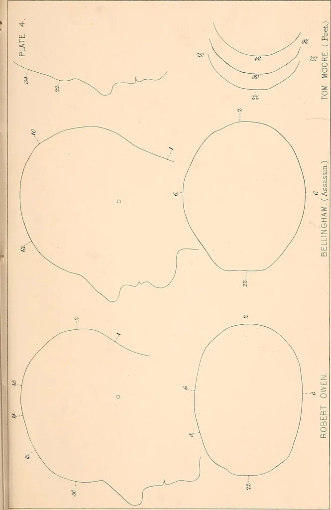 An illustration from Phrenology : and its application to education, insanity, and prison discipline, 1869, leaf 634