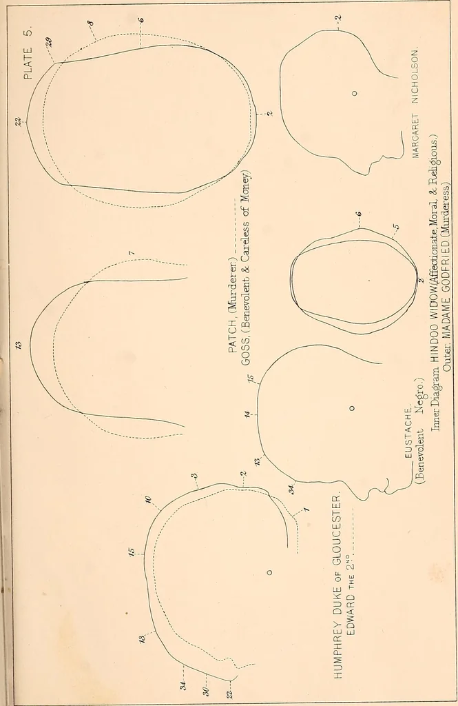 An illustration from Phrenology : and its application to education, insanity, and prison discipline, 1869, leaf 636