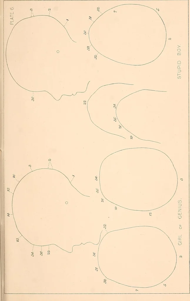 An illustration from Phrenology : and its application to education, insanity, and prison discipline, 1869, leaf 638