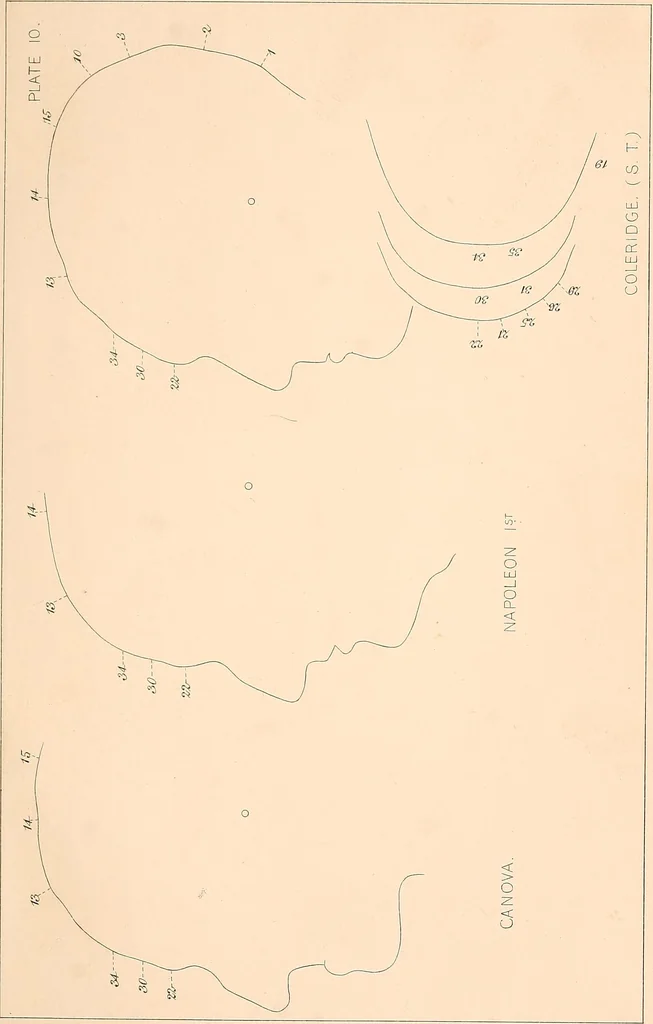 An illustration from Phrenology : and its application to education, insanity, and prison discipline, 1869, leaf 646