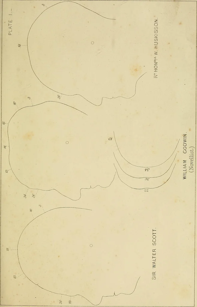 An illustration from Phrenology : and its application to education, insanity, and prison discipline, 1869, leaf 630
