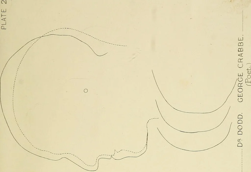 An illustration from Phrenology : and its application to education, insanity, and prison discipline, 1869, leaf 632