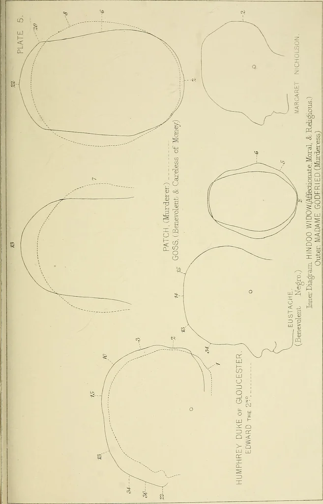 An illustration from Phrenology : and its application to education, insanity, and prison discipline, 1869, leaf 638