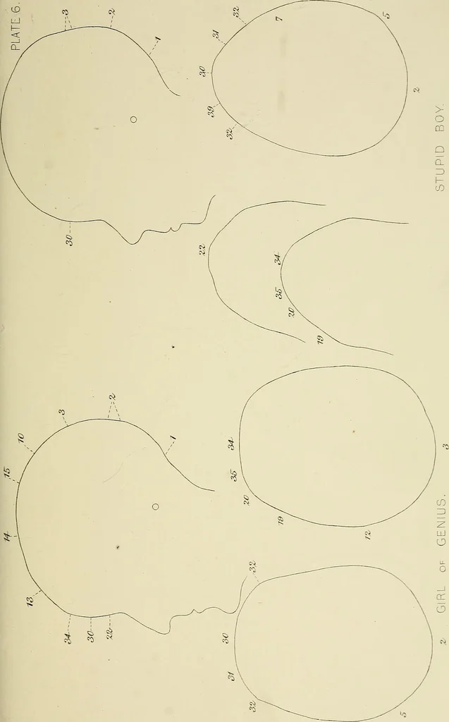 An illustration from Phrenology : and its application to education, insanity, and prison discipline, 1869, leaf 640