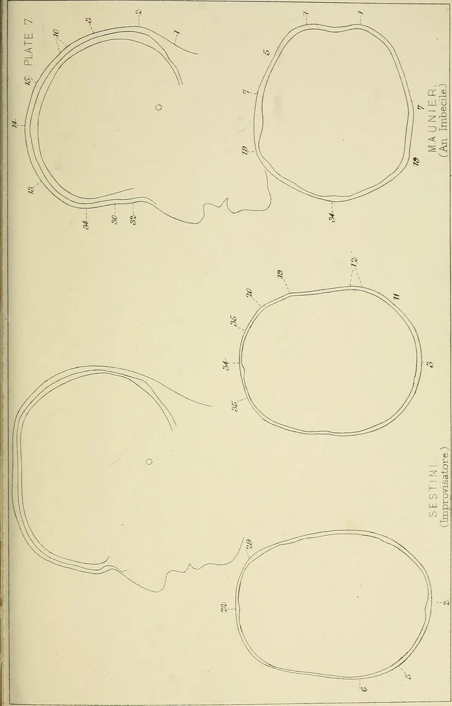 An illustration from Phrenology : and its application to education, insanity, and prison discipline, 1869, leaf 642