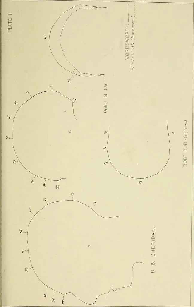 An illustration from Phrenology : and its application to education, insanity, and prison discipline, 1869, leaf 650