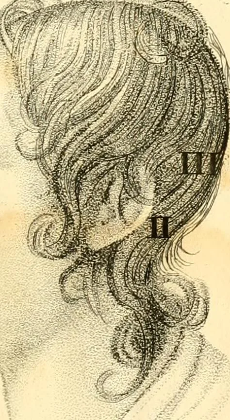 An illustration from Phrenology, or, The doctrine of the mental phenomena, 1834, leaf 356