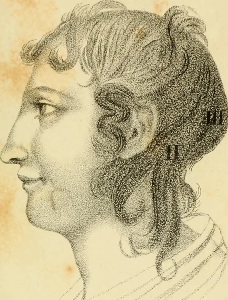 An illustration from Phrenology, or The doctrine of the mental phenomena, 1832, leaf 376