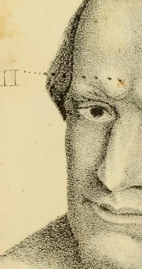 An illustration from Phrenology, or The doctrine of the mental phenomena, 1832, leaf 390